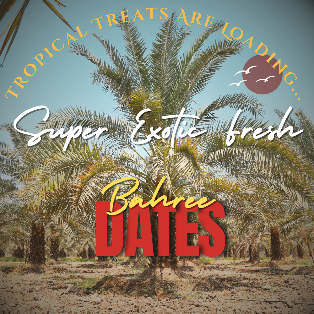 Fresh Yellow Dates 1080x566px (1000 x 500 px)